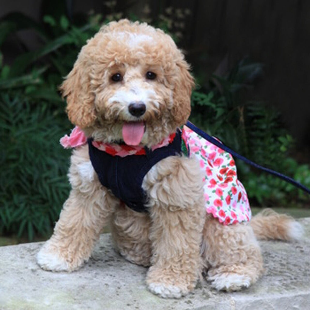 Isn’t Chloe adorable?