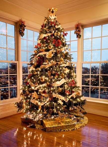 One tree is up and glowing!!!