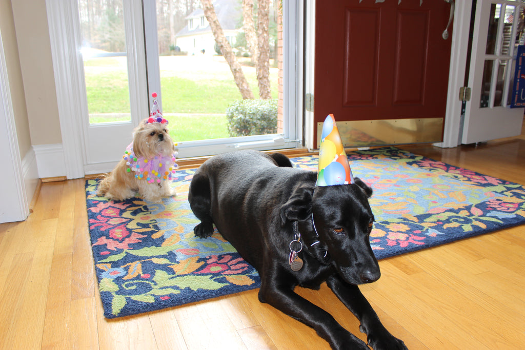TODAY is my BIRTHDAY,