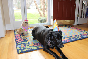 TODAY is my BIRTHDAY,