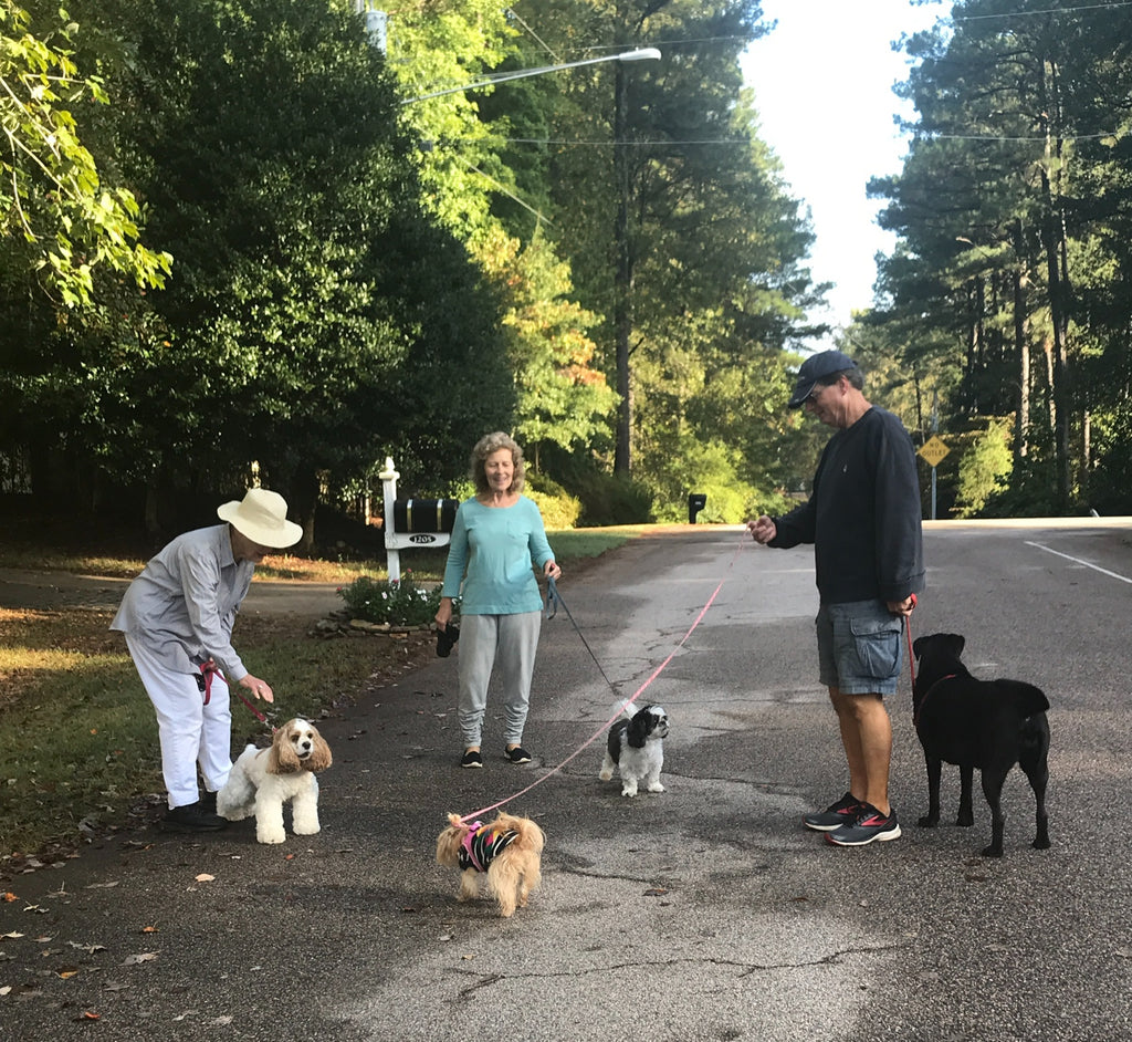 Our early morning walk!
