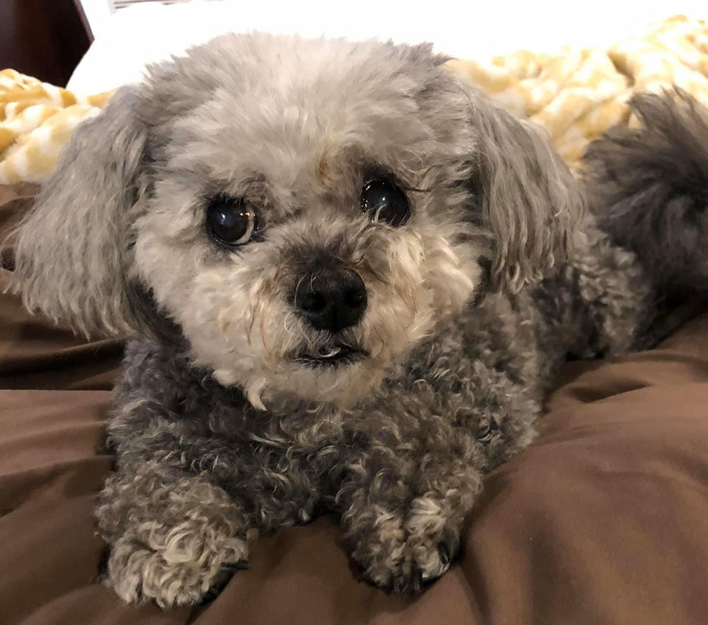 My best friend, Macey💕
