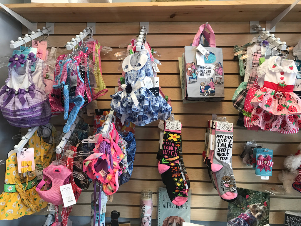 Sassy Socks are here!