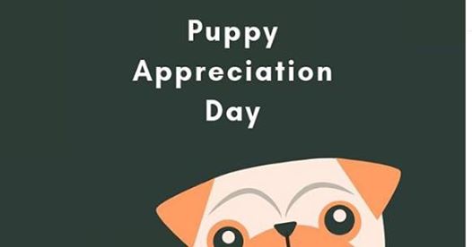 Puppy Appreciation Day!   Saturday, May 11