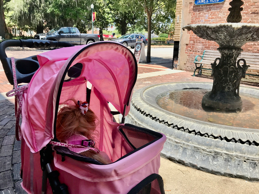 Shopping at the coast!