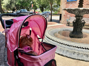 Shopping at the coast!