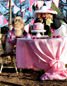 Tea Party has been cancelled!