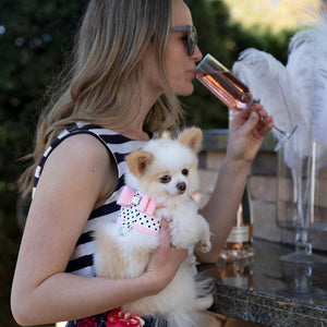 Susan Lanci Designs, Coming Soon!