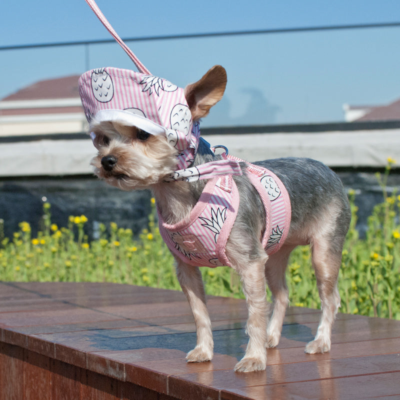 Cute VISORS are here!