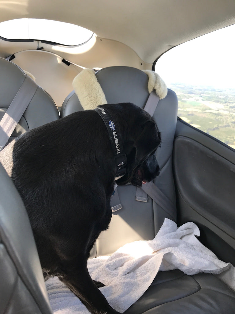 Scarlett is taking up two seats!