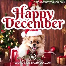 It’s December!!