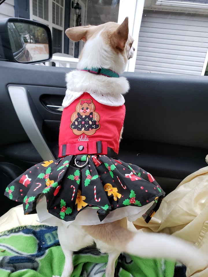 Lulu!