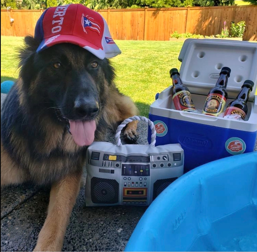Customers ❤️ Bowser Beer! 🍺