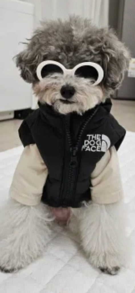 Dog Face Jackets & Vest have arrived!