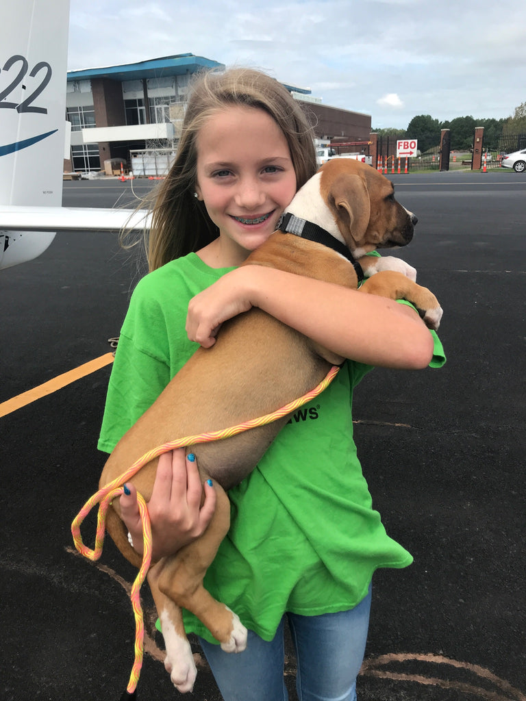 Rescue pup headed to a safe shelter!