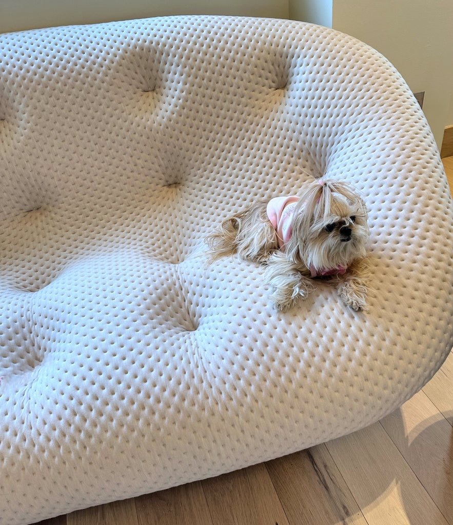 Cool sofa!
