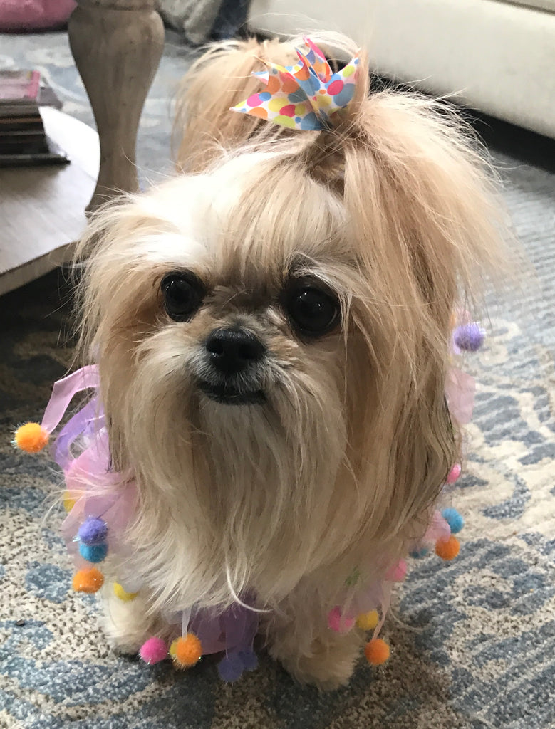 It’s almost my BIRTHDAY!