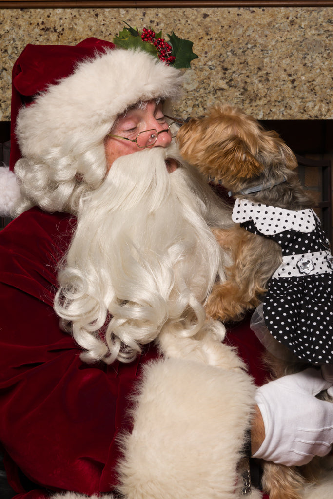 Honey & Santa!🎄💕