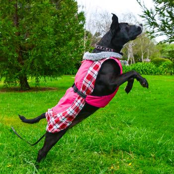 Winter Jackets are Coming Soon!