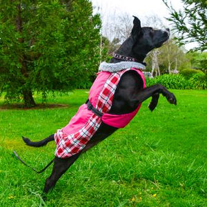 Winter Jackets are Coming Soon!