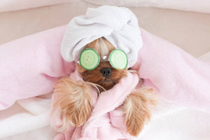 It’s Spa Day!