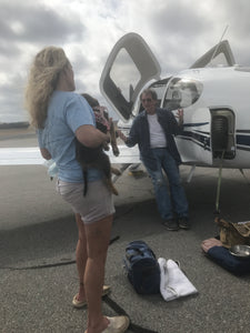 Loading up rescue pups for their flight to a safe shelter