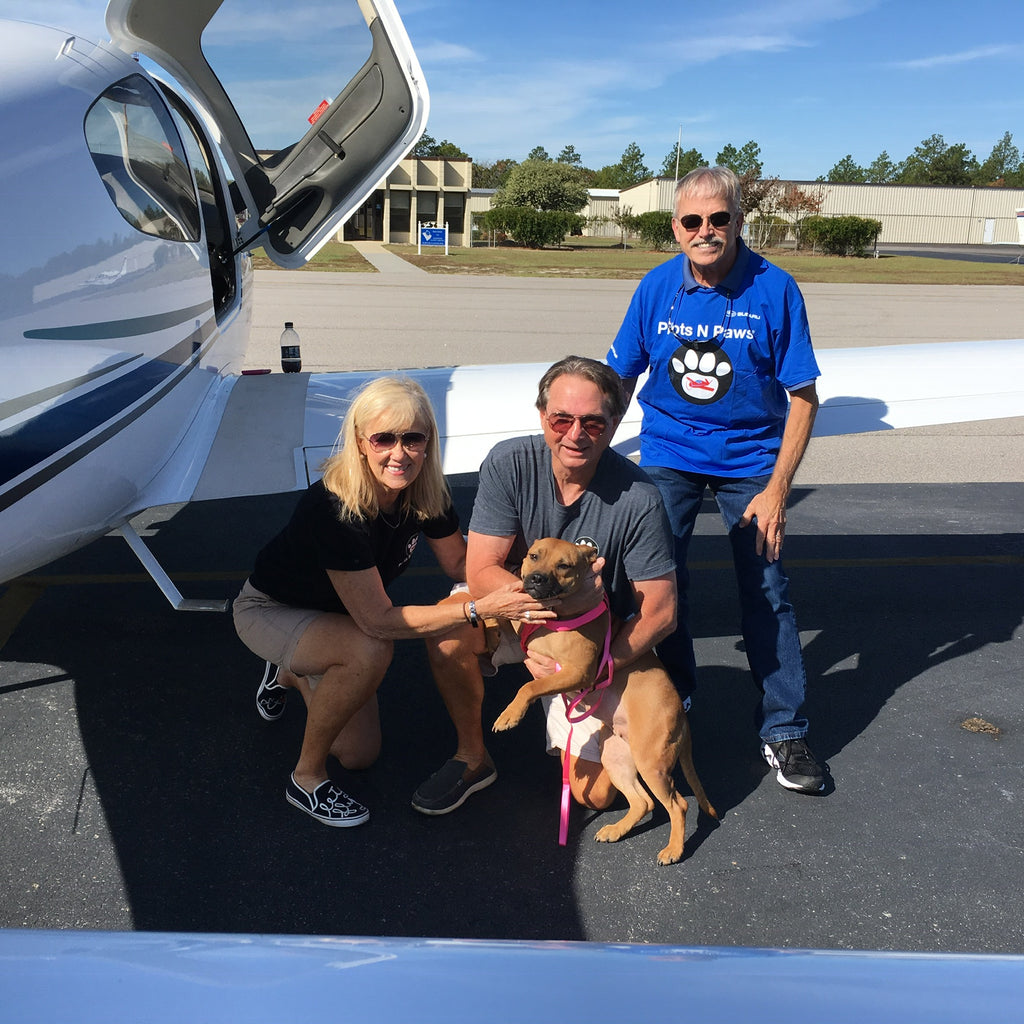 Doggie Rescue Flight Today!