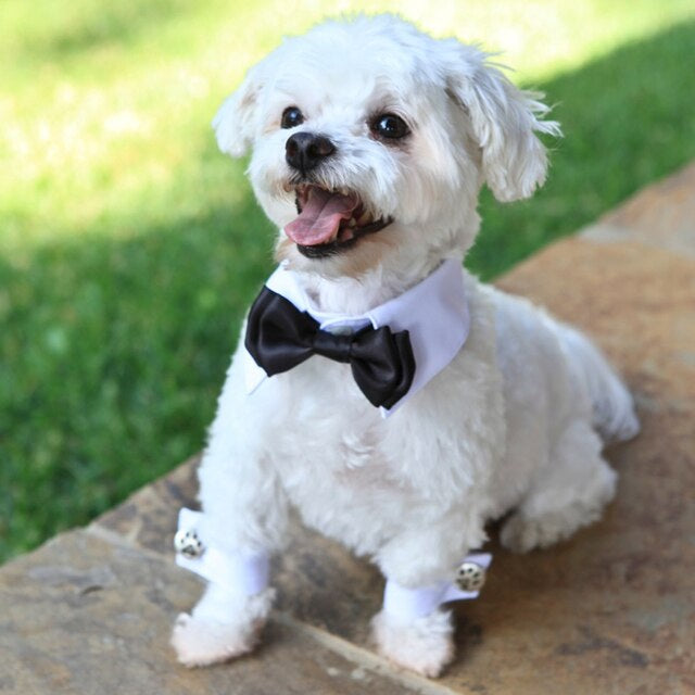 Doggie Cuff Links are our #1 seller!!
