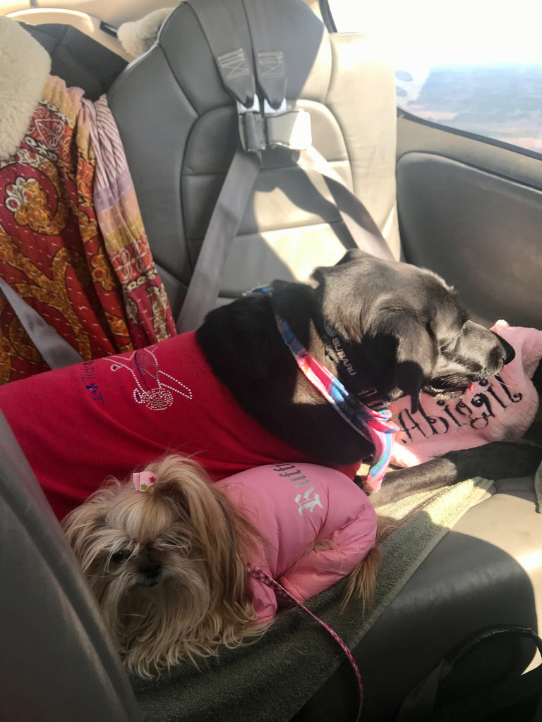 Scarlett is taking up two seats!