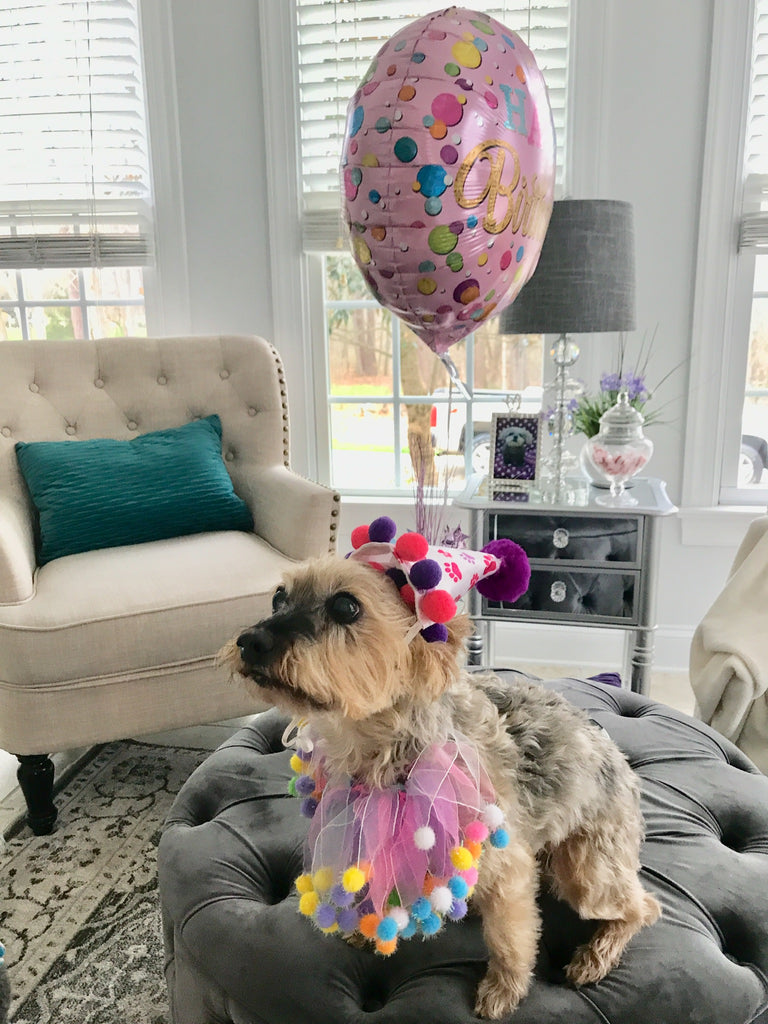 Happy Birthday Minnie!🎁