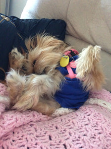 Napping