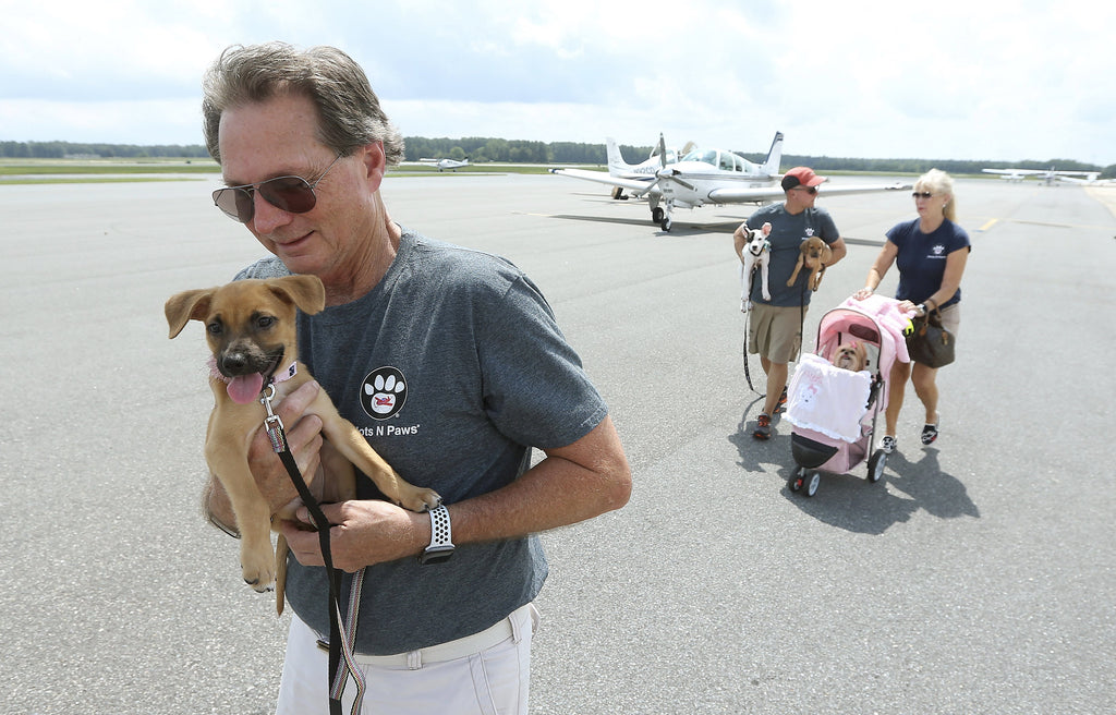 Please VOTE for my Daddy! 🐾✈️
