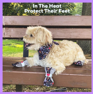 Protect your furbabies paws!