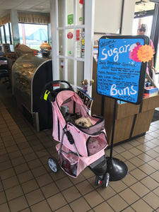 I’m at SUGAR BUNS!
