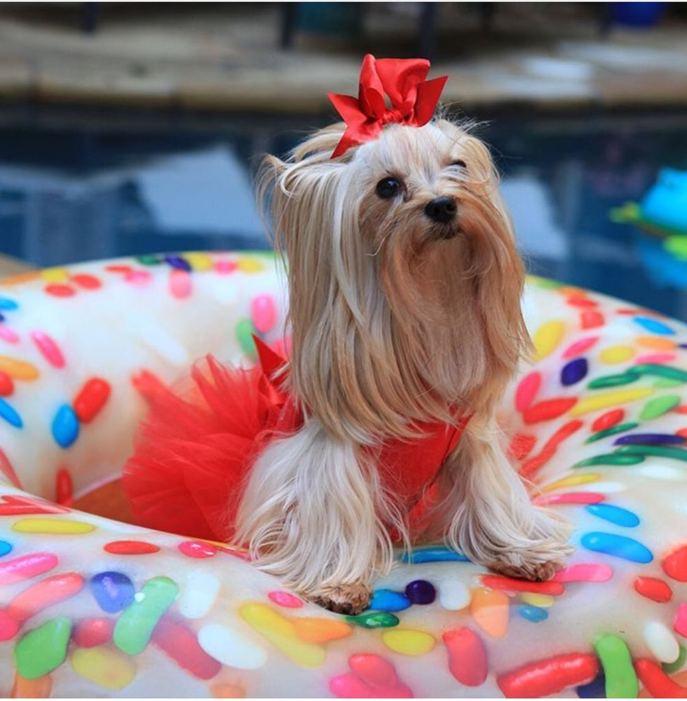 Pool Time!