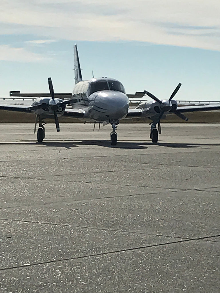 Soooo many cute dogs today on doggie rescue flight!