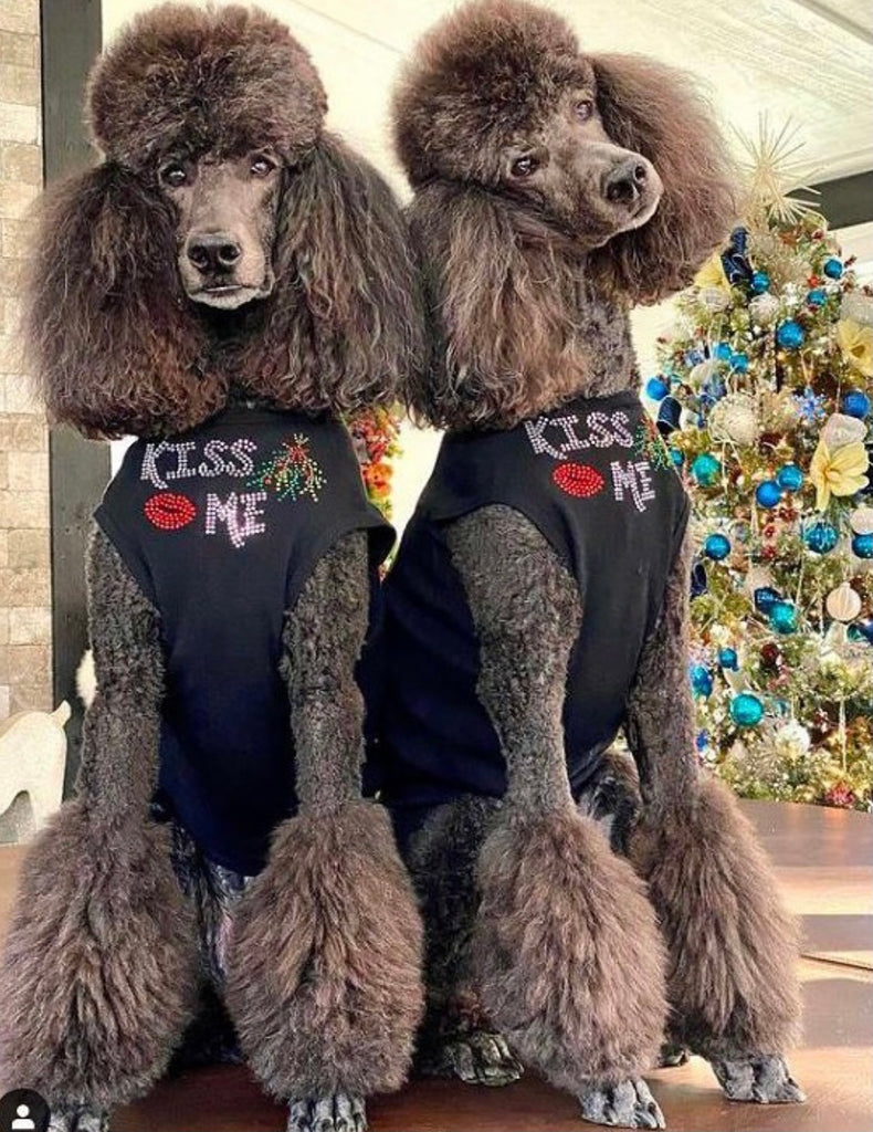 Aren’t they gorgeous?