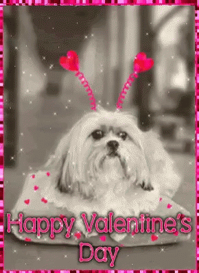Happy Valentine’s Day!❤️❤️❤️