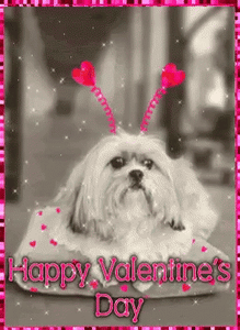 Happy Valentine’s Day!❤️❤️❤️
