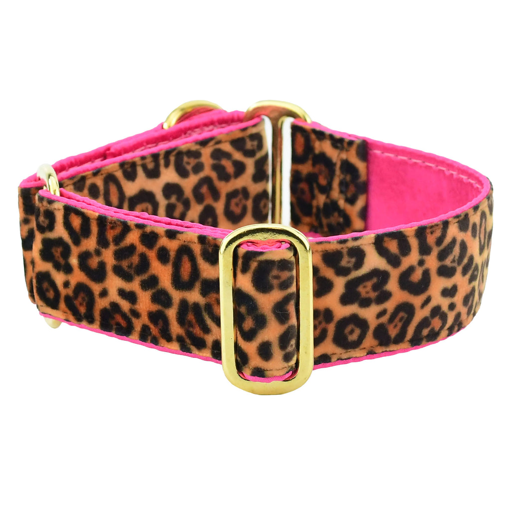 SNEAK PREVIEW!! Gorgeous Collars!!