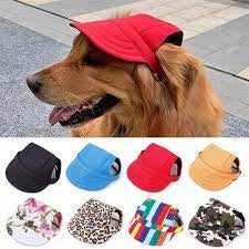 Sun Visors!