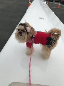 Rescue Flight to New Jersey is Thursday!