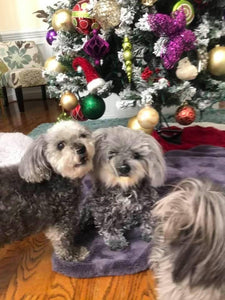 Macey got Cloned!
