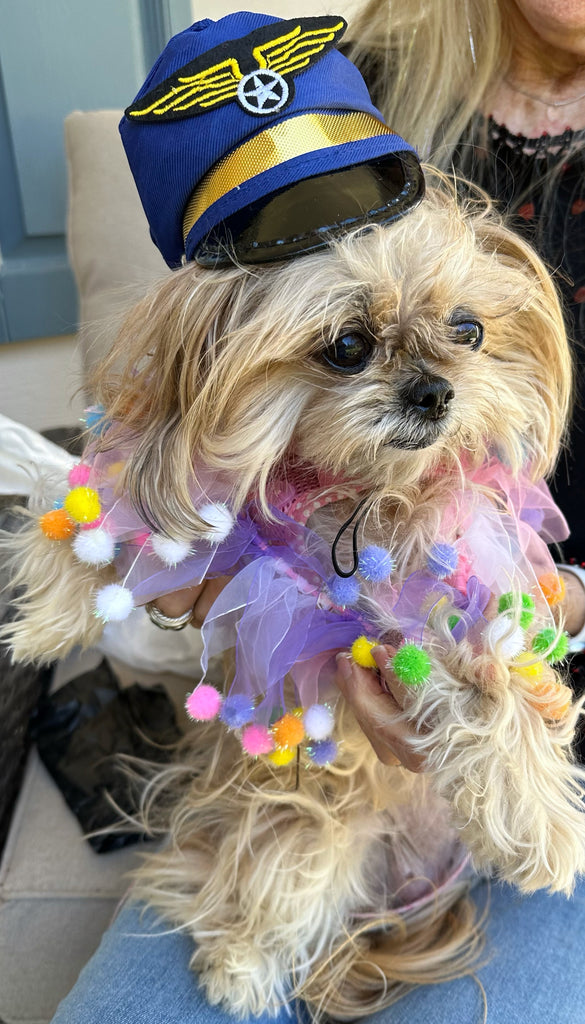 I’m a Princess & a Pilot!