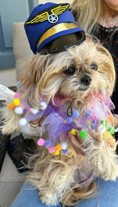 I’m a Princess & a Pilot!