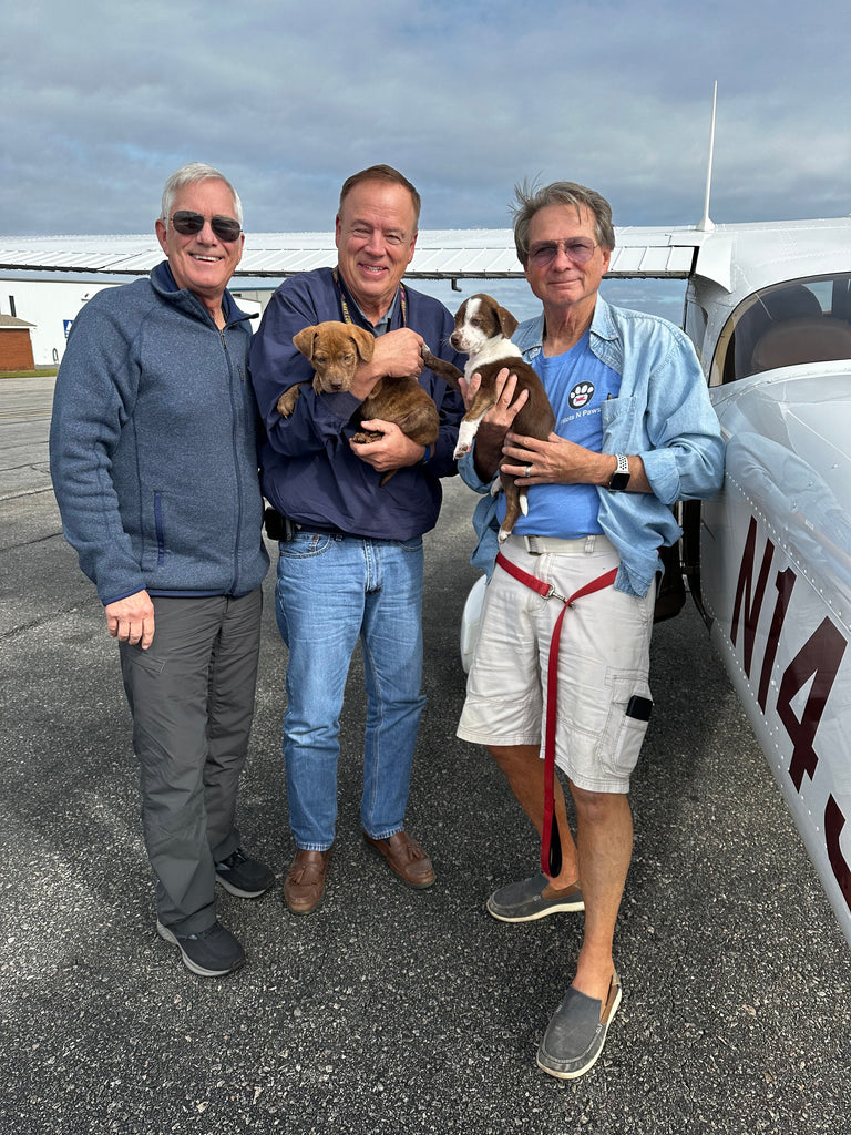 Rescue Flight!!✈️🐾