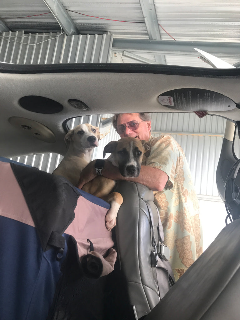 Pilots N Paws Freedom Flight!