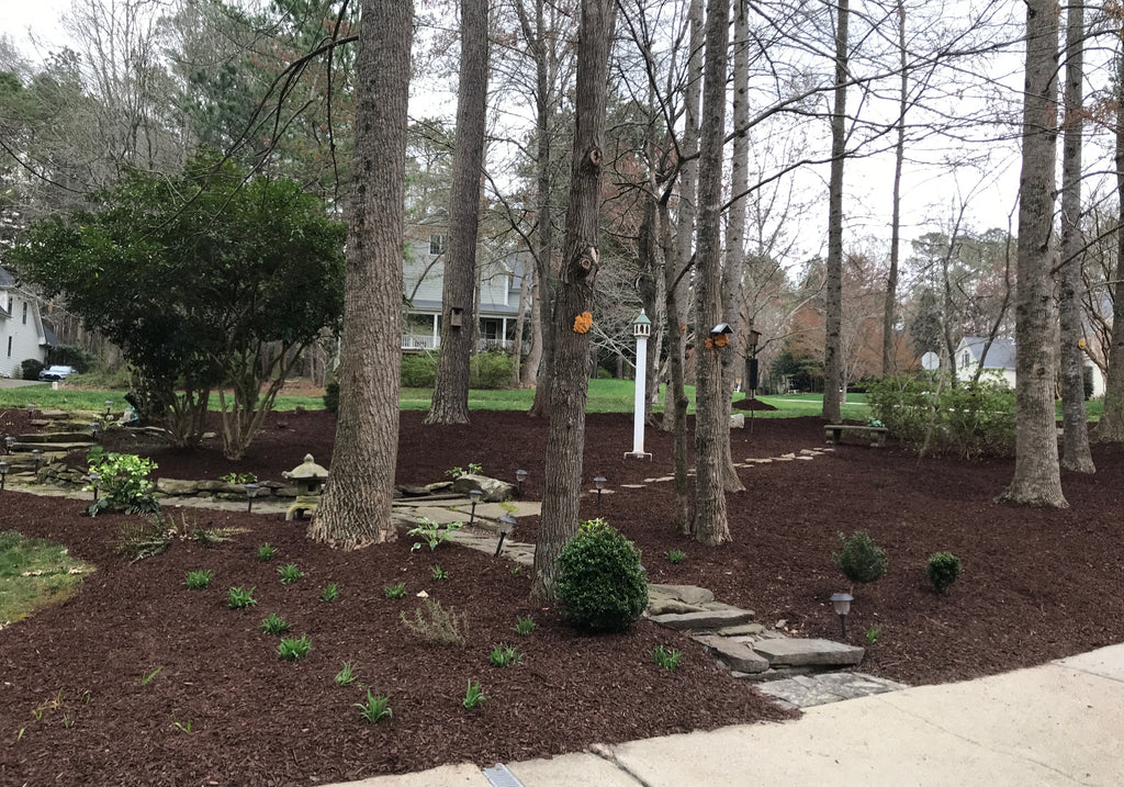 Macey’s Memorial Park