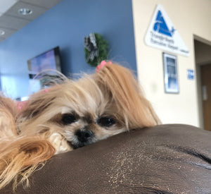 Nap time!