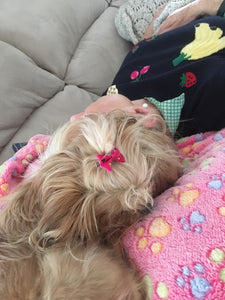 Mom & I are napping